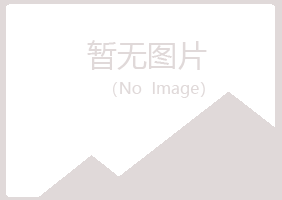 偃师白山银行有限公司